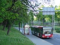MAN NG313 #593