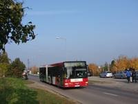 Zdj�cie miesi�ca