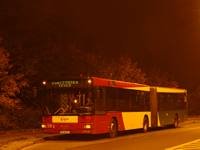 MAN NG313 #593