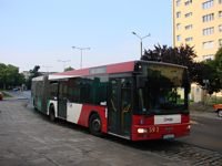 MAN NG313 #593