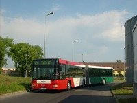 MAN NG313 #593
