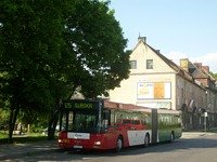 MAN NG313 #593