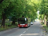 MAN NG313 #593
