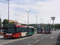 MAN NG313 #593