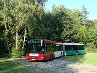 MAN NG313 #593