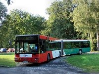 MAN NG313 #593