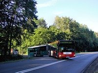 MAN NG313 #593