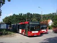 MAN NG313 #593