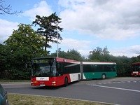 MAN NG313 #593