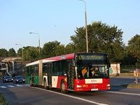 MAN NG313 #593