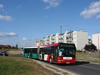 MAN NG313 #593