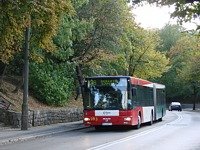 MAN NG313 #593
