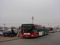 MAN NG313 #593