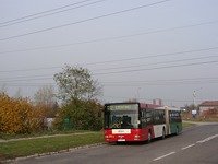 MAN NG313 #593
