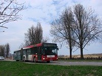 MAN NG313 #594