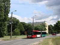 Zdj�cie miesi�ca