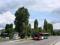 MAN NG313 #594