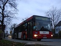MAN NG313 #594