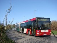 Zdj�cie miesi�ca