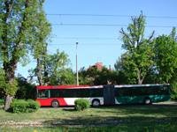 MAN NG313 #594