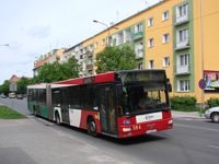 MAN NG313 #594