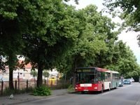 MAN NG313 #594