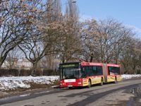 MAN NG313 #594