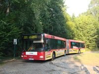 MAN NG313 #594