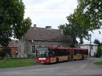 MAN NG313 #594