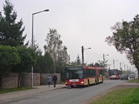 MAN NG313 #594