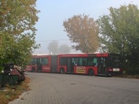 MAN NG313 #594