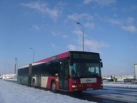 MAN NG313 #594