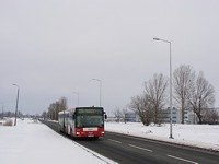 MAN NG313 #594