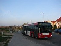 MAN NG313 #594