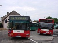 MAN NG313 #594