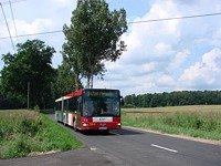 Zdj�cie miesi�ca