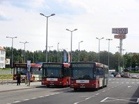 MAN NG313 #594