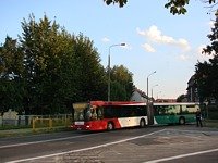MAN NG313 #594