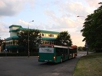 MAN NG313 #594