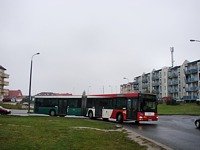 MAN NG313 #594