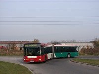 MAN NG313 #594