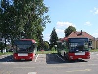 MAN NL313 #596