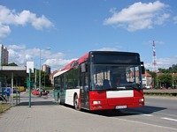 MAN NL313 #596