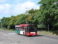MAN NL313 #596