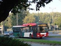 MAN NL313 #596