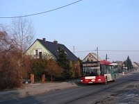 MAN NL313 #596