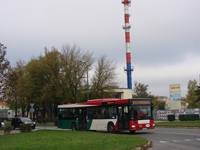 MAN NL313 #596