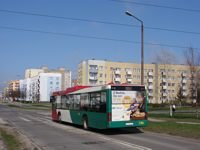 MAN NL313 #596