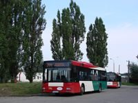 MAN NL313 #596