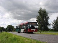 MAN NL313 #596